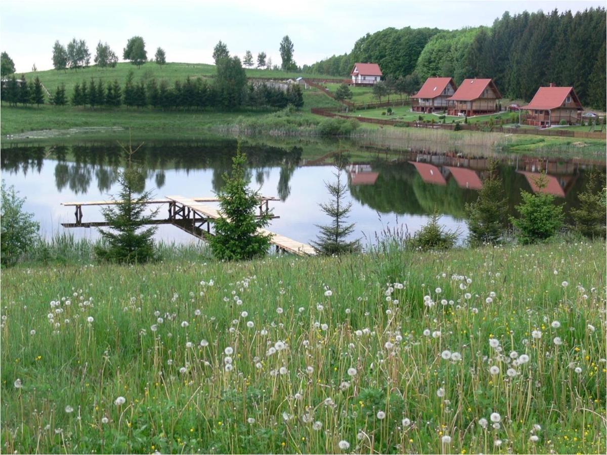 Mieszkanie Nad Jeziorem Rydzowka+Prywatny Staw+Plaza+Mazury Srokowo Exterior foto